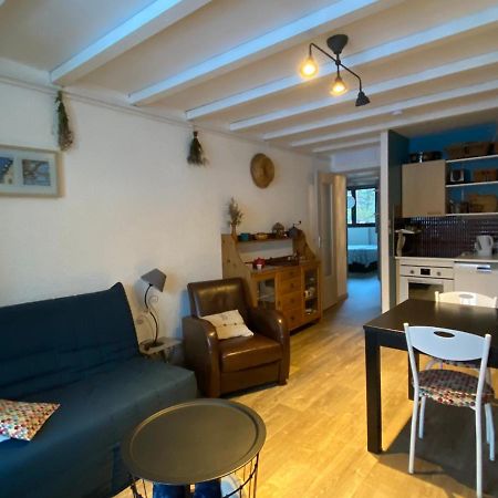 Appart 50M2 A Villard-De-Lans, 6 Pers, 2 Ch, Balcon, Ascenseur - Fr-1-515-143 Εξωτερικό φωτογραφία
